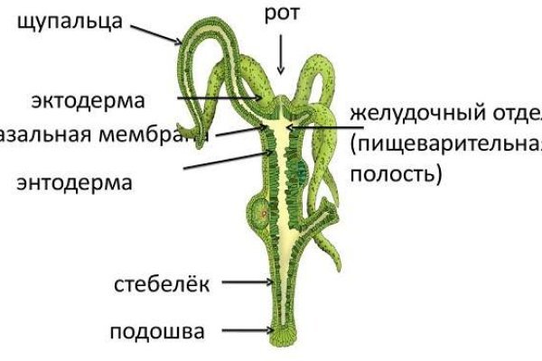 Блэк спрут ссылка bs2me run