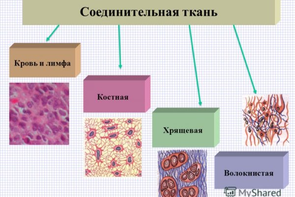 Код blacksprut bs2webes net