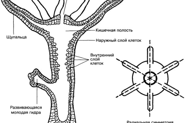 Блэкспрут сайт