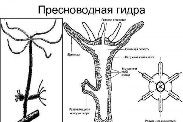 Как удалить аккаунт на блэкспруте