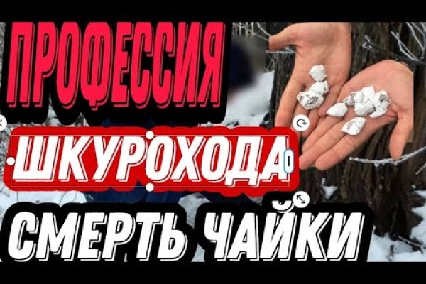 Блэк спрут рабочее зеркало